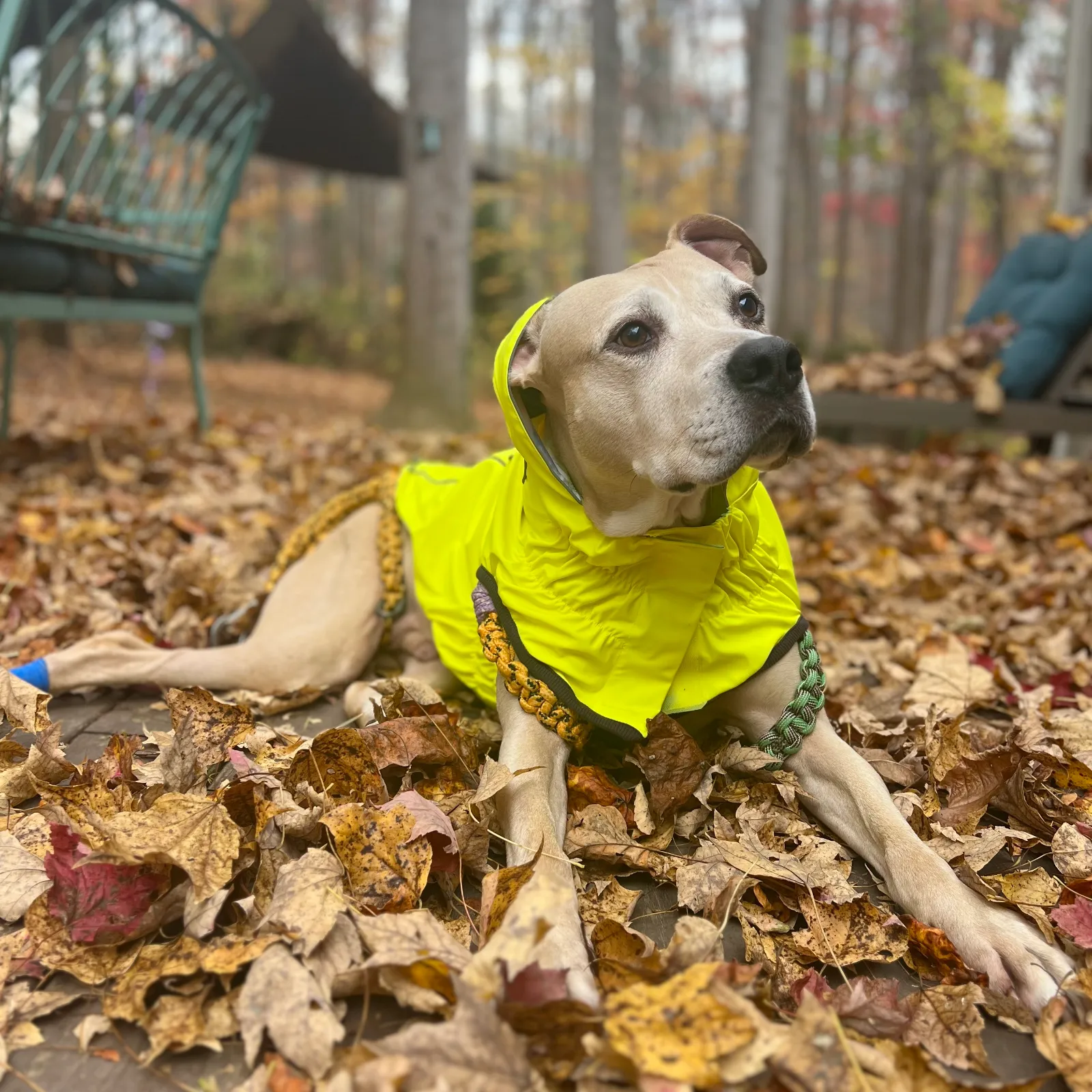 Reversible Rain Jacket