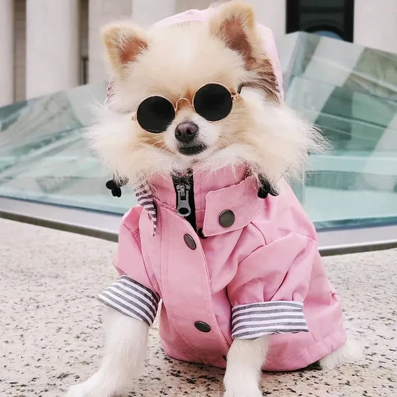 Storm Paws Rain Jacket