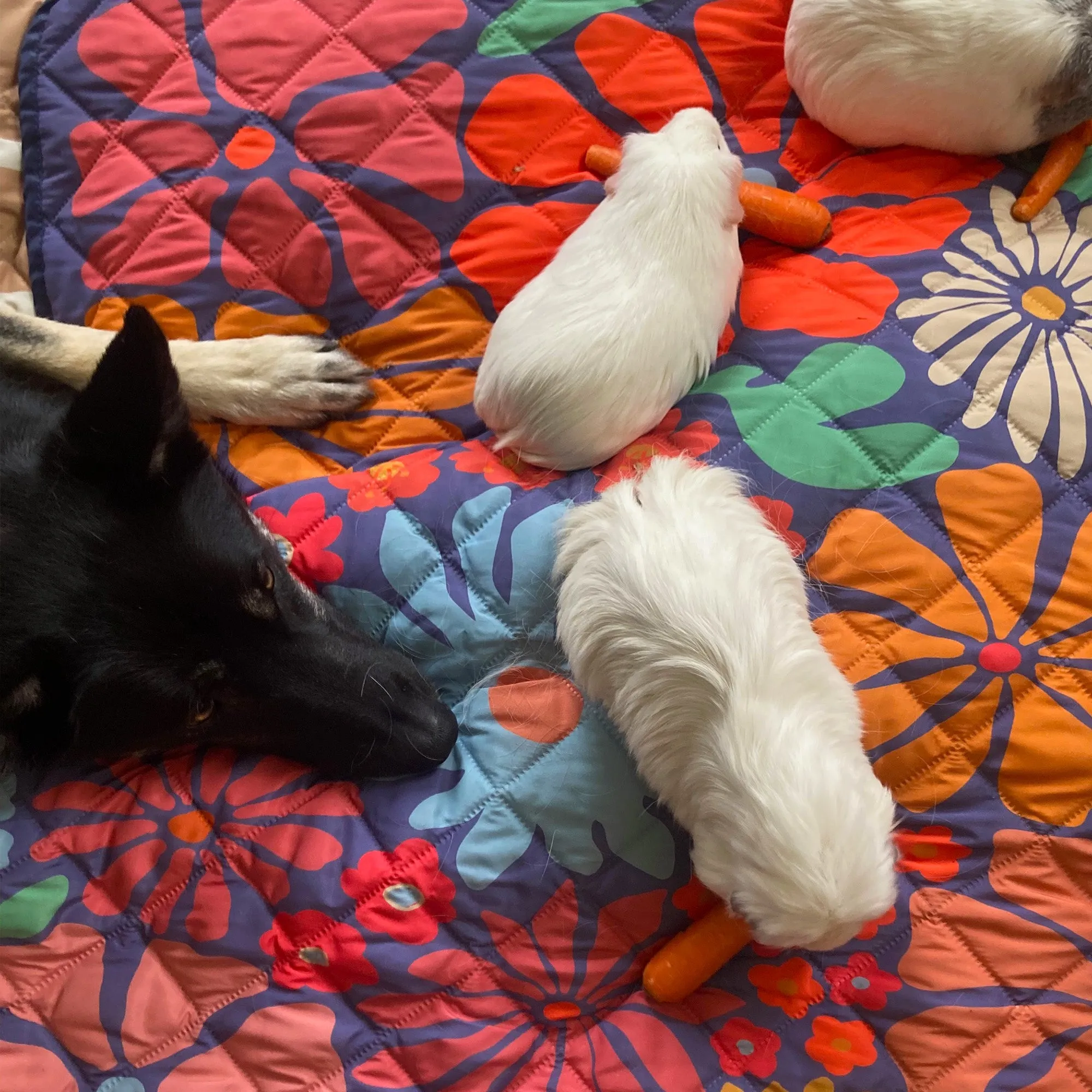 The Lovebird Blanket